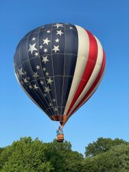 Rusty Miller - Stars & Stripes